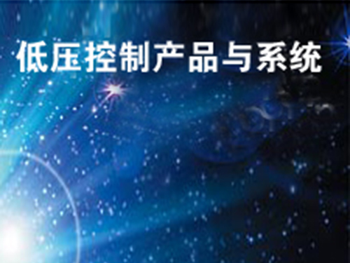 低壓控制產(chǎn)品與系統(tǒng)